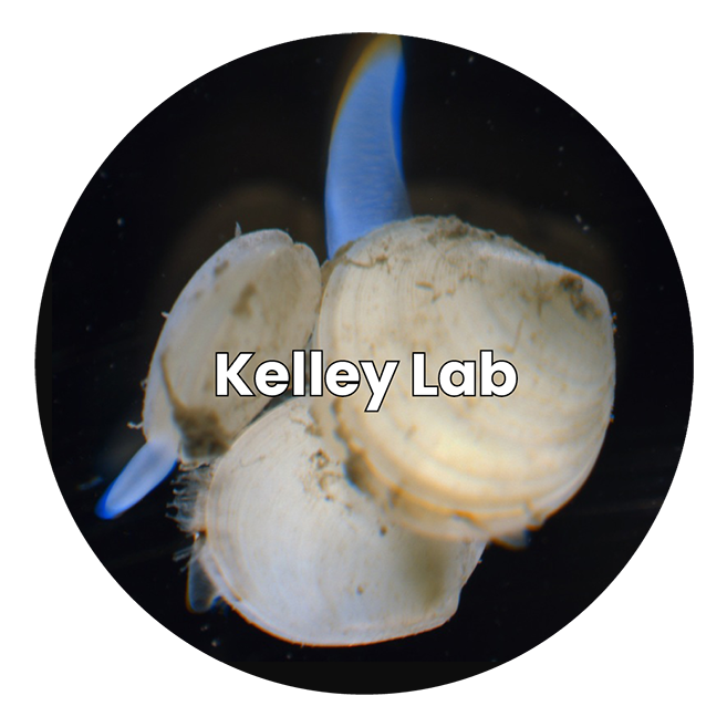 Kelley Lab Logo